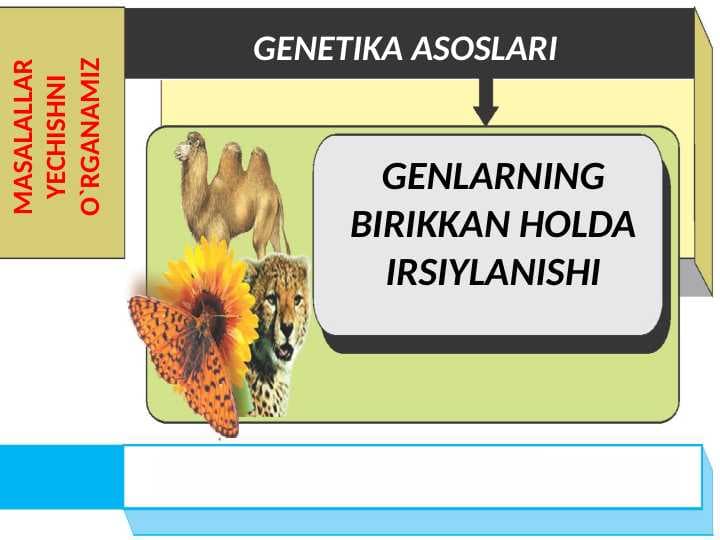 GENLARNING BIRIKKAN HOLDA IRSIYLANISHI