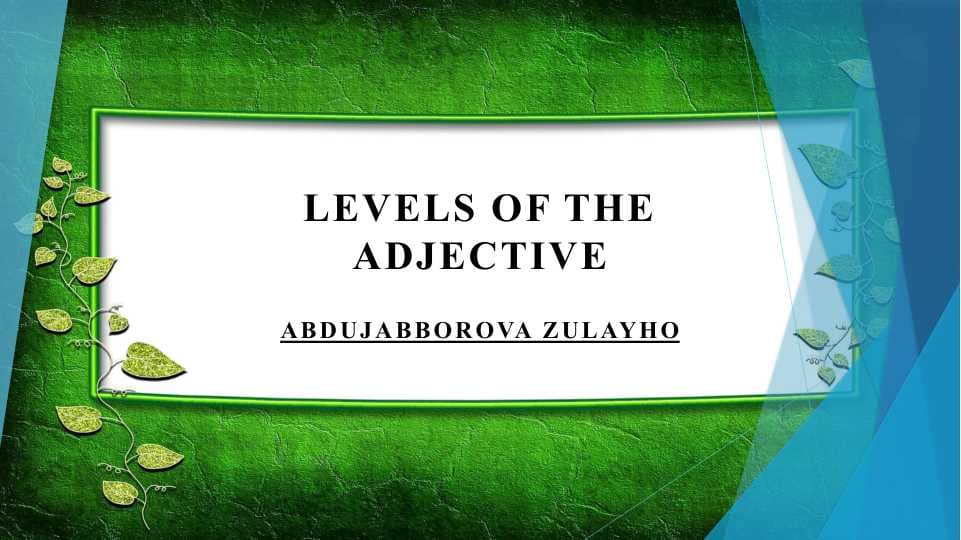 Levels of the adjective