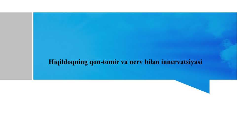 Hiqildoqni qon-tomir va nerv bilan innervatsiyasi