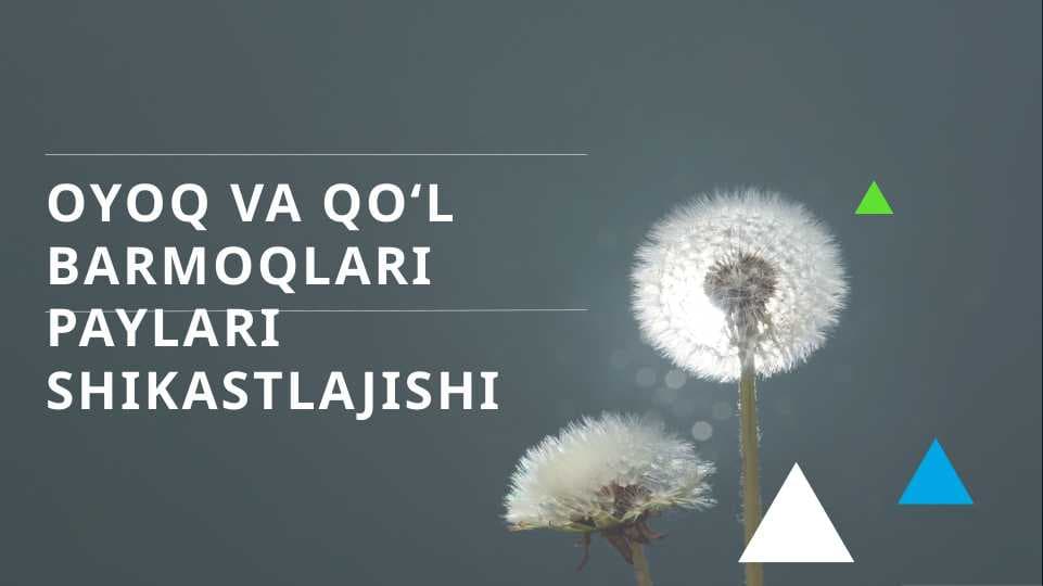 OYOQ VA QOʻL BARMOQLARI PAYLARI SHIKASTLAJISHI