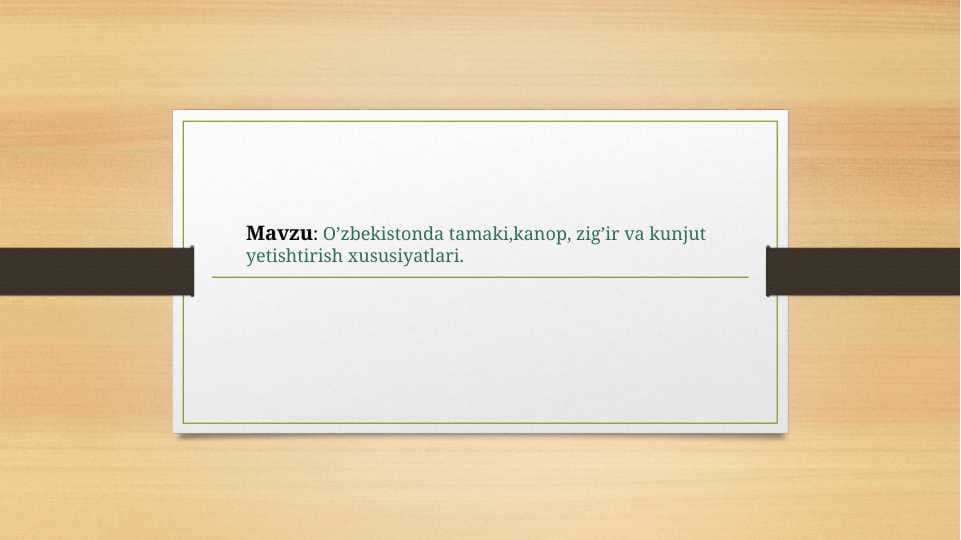 O’zbekistonda tamaki,kanop, zig’ir va kunjut yetishtirish xususiyatlari
