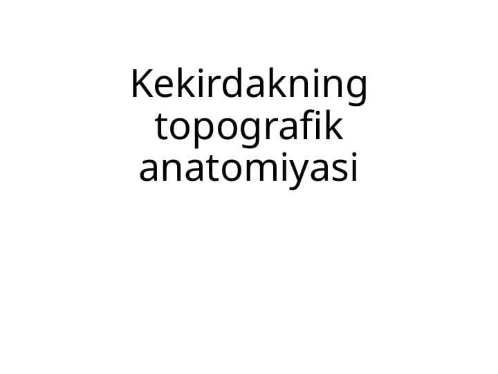 Kekirdakning topografik anatomiyasi