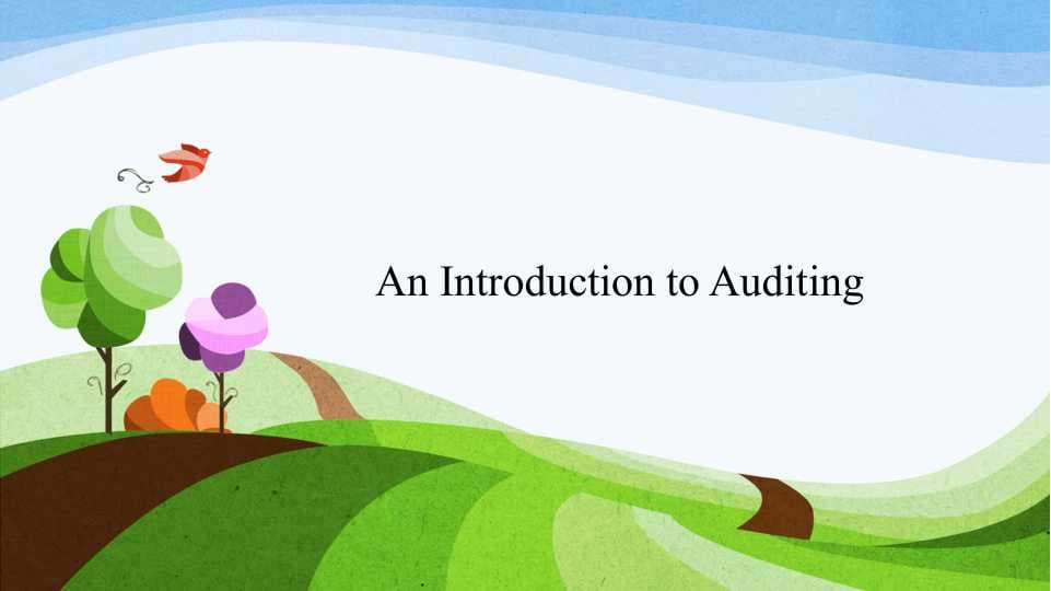 An Introduction to Auditing