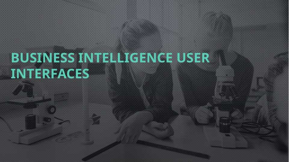BUSINESS INTELLIGENCE USER INTERFACES