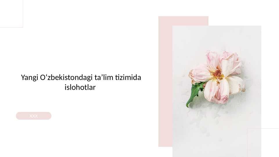 Yangi Oʻzbekistondagi taʼlim tizimida islohotlar