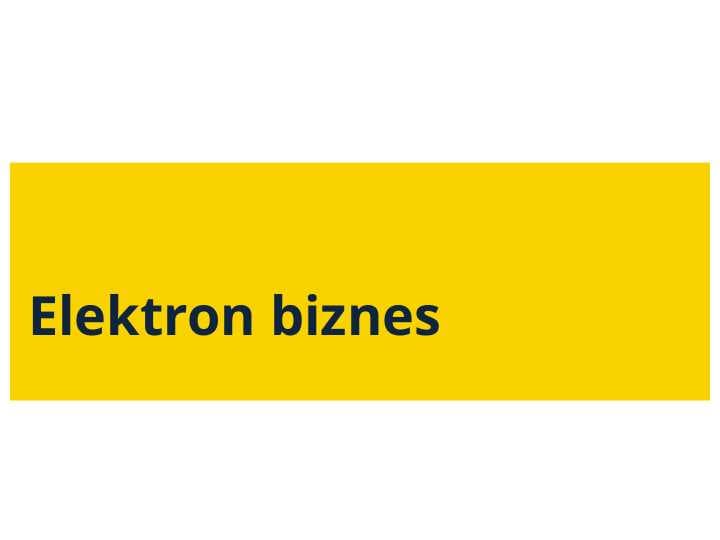 Elektron biznes