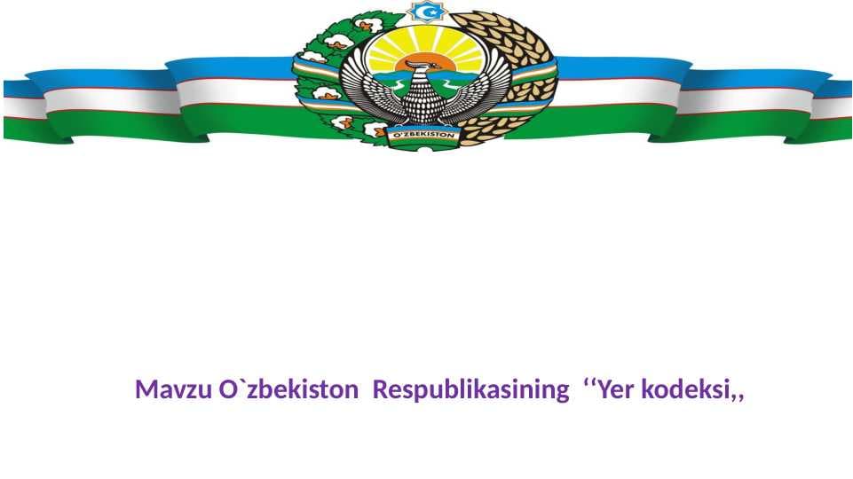 Yer kodeksi