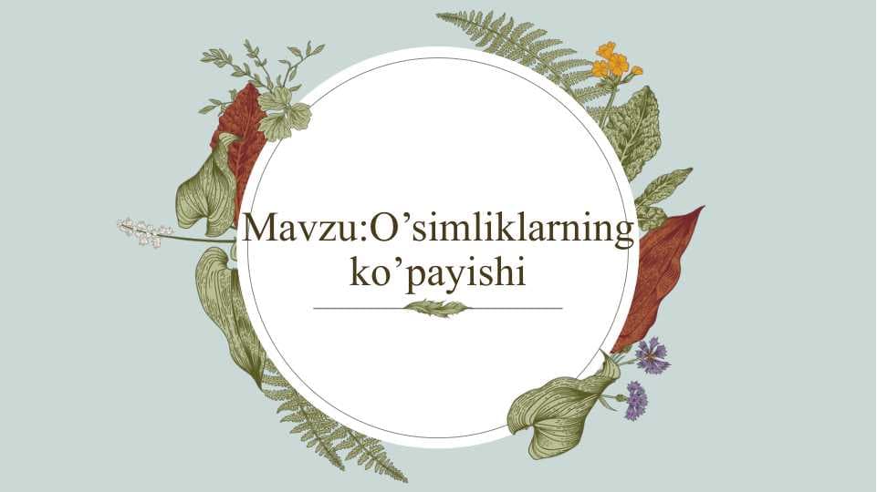 O’simliklarning ko’payishi