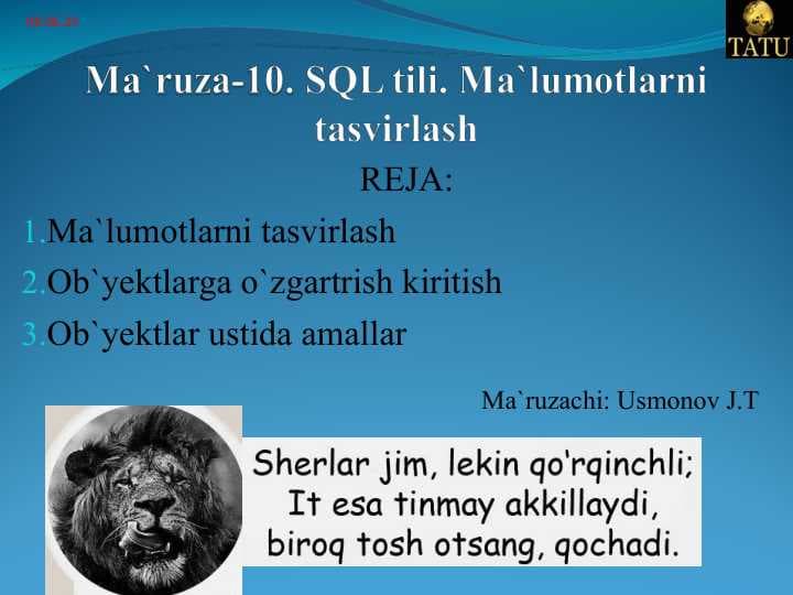 SQL tili. Ma`lumotlarni tasvirlash