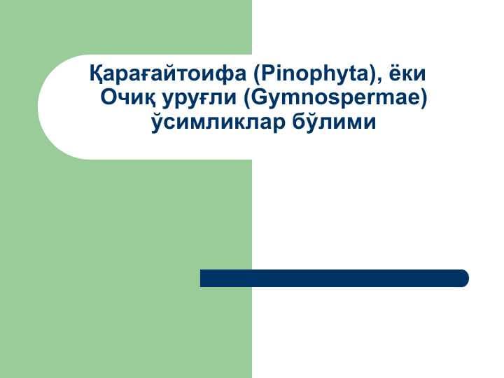 Қарағайтоифа (Pinophyta), ёки  Очиқ уруғли (Gymnospermae) ўсимликлар бўлими