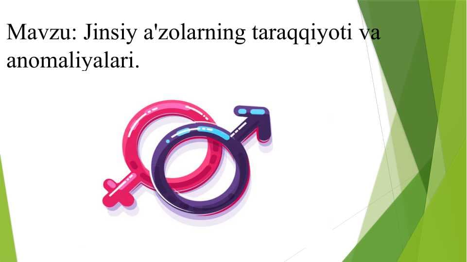Jinsiy a'zolarning taraqqiyoti va anomaliyalari