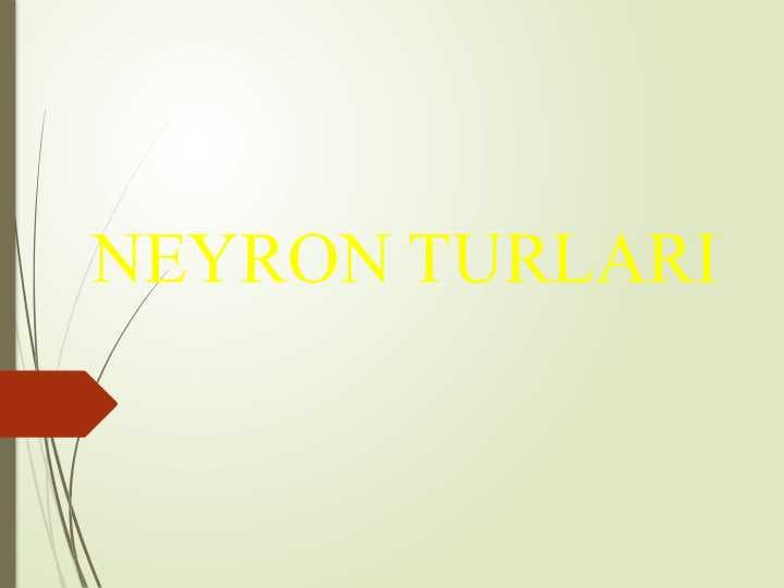 NEYRON TURLARI