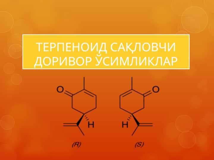 ТЕРПЕНОИД САҚЛОВЧИ ДОРИВОР ЎСИМЛИКЛАР