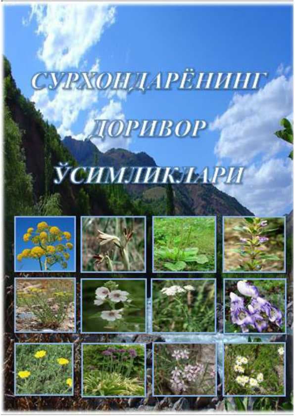 СУРХОНДАРЁНИНГ ДОРИВОР ЎСИМЛИКЛАРИ