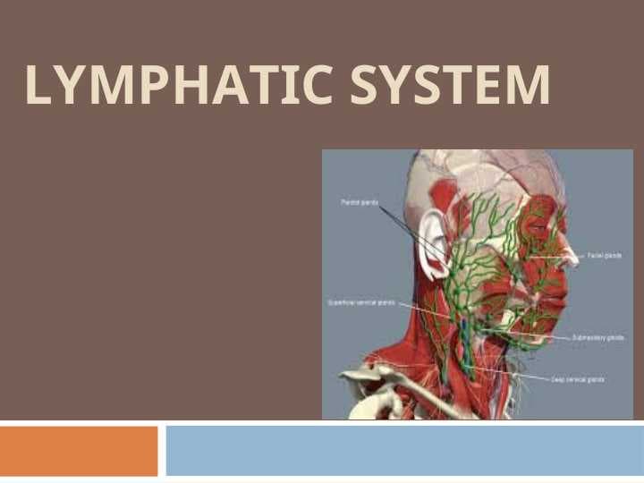 LYMPHATIC SYSTEM