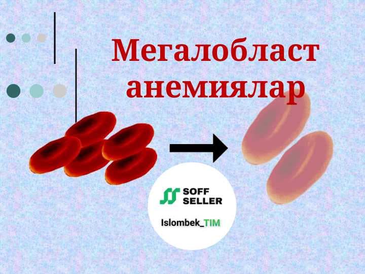 Мегалобласт анемиялар
