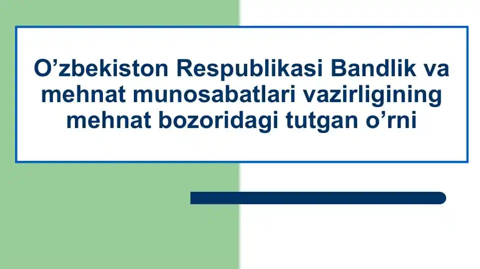 O’zbekiston Respublikasi Bandlik va mehnat munosabatlari vazirligining mehnat bozoridagi tutgan o’rni