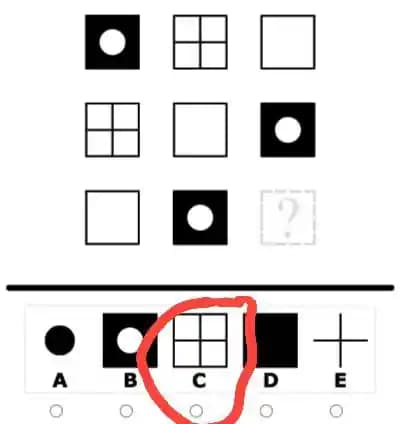 ARGOST iQ test 2025