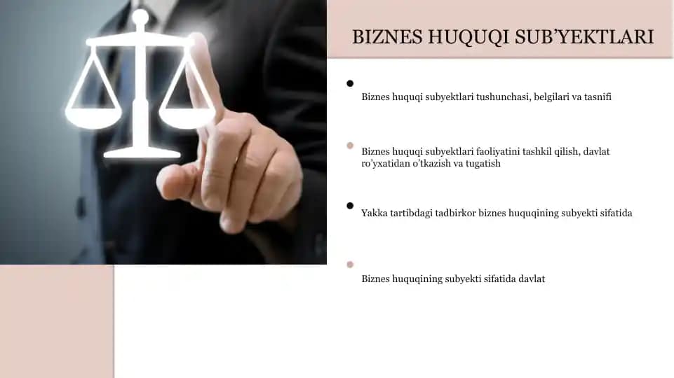Biznes huquqi subektlari
