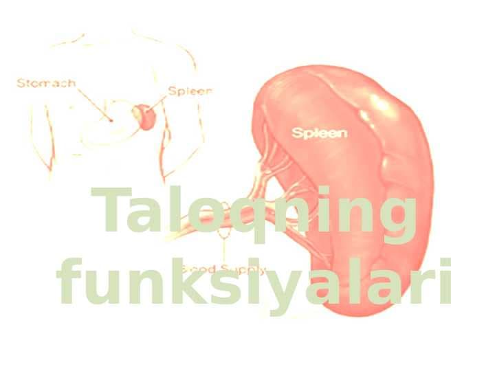 Taloq funksiyalari