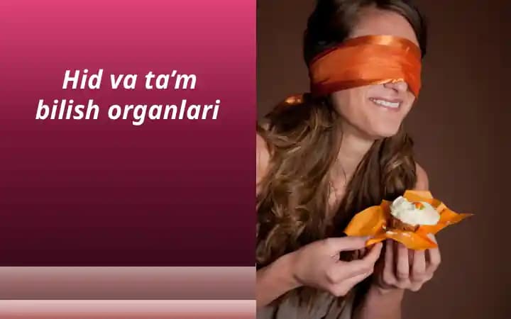 Hid va ta’m bilish organlari