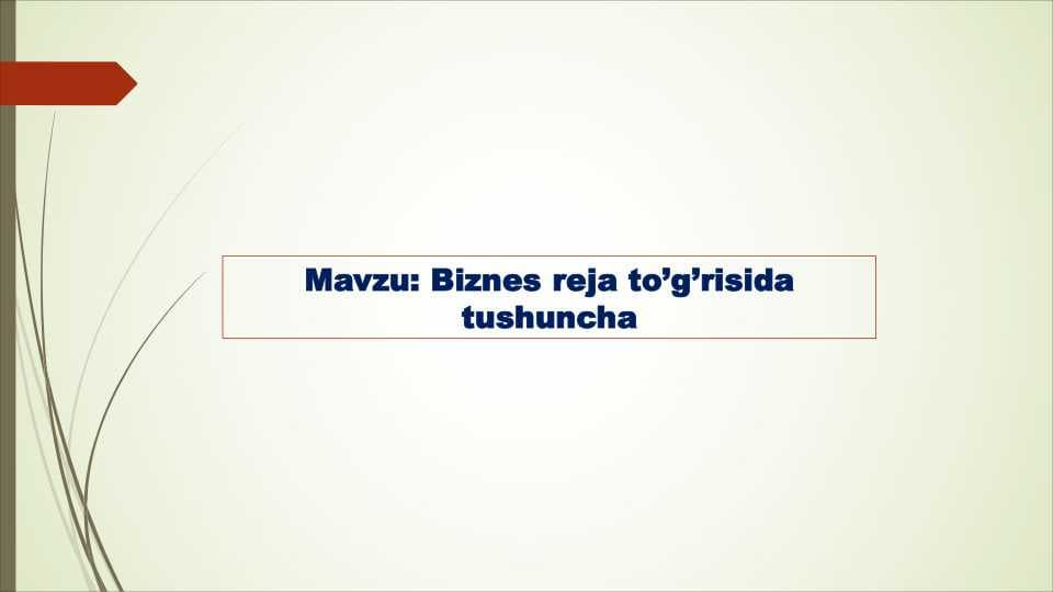 Biznes reja to'g'risida tushuncha
