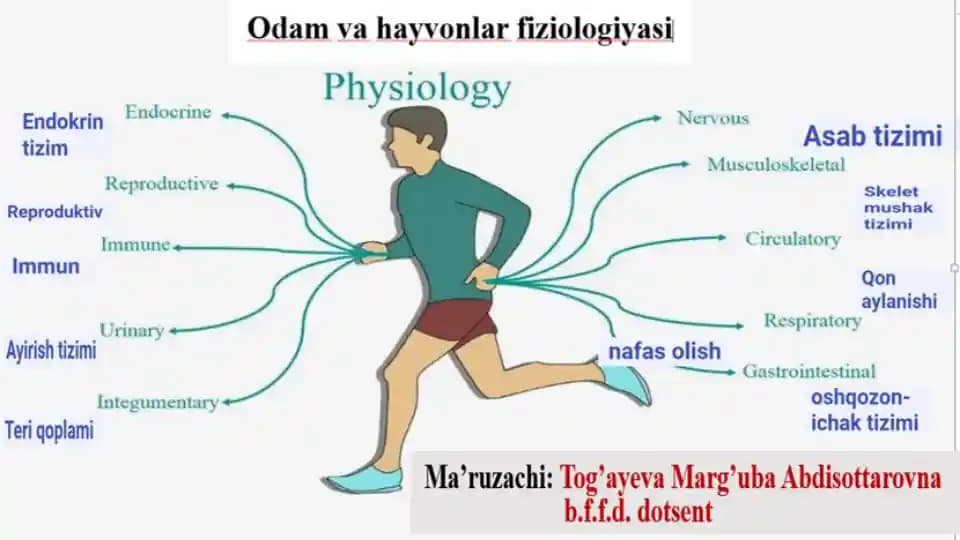 Odam va Hayvonlar Fiziologiyasi