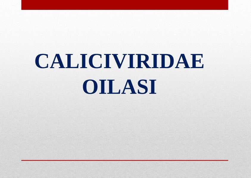 CALICIVIRIDAE