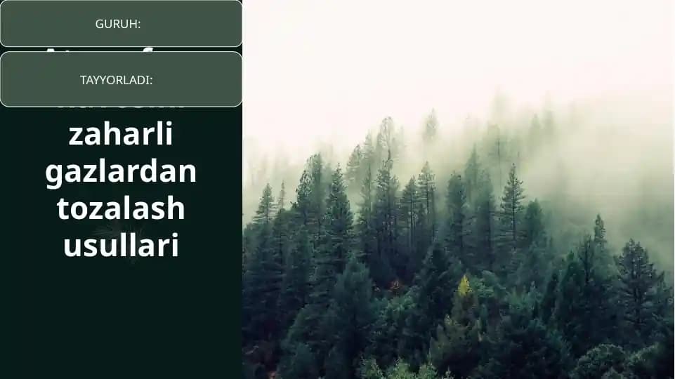 Atmosfera havosini zaharli gazlardan tozalash usullari