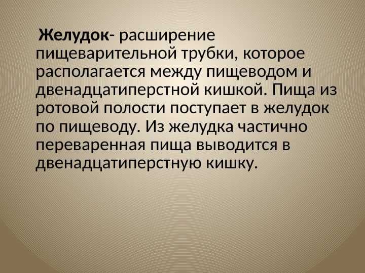 желудок oshqozon anatomiyasi