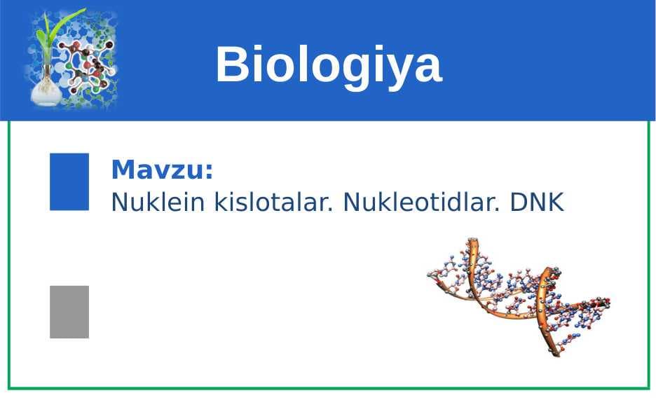 Nuklein kislotalar. Nukleotidlar. DNK