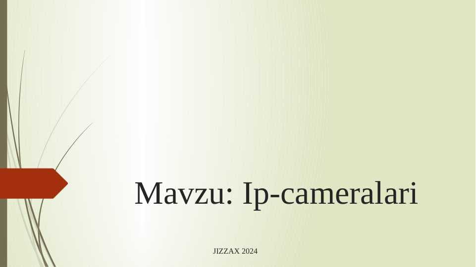 IP-kameralari prezentatsiya