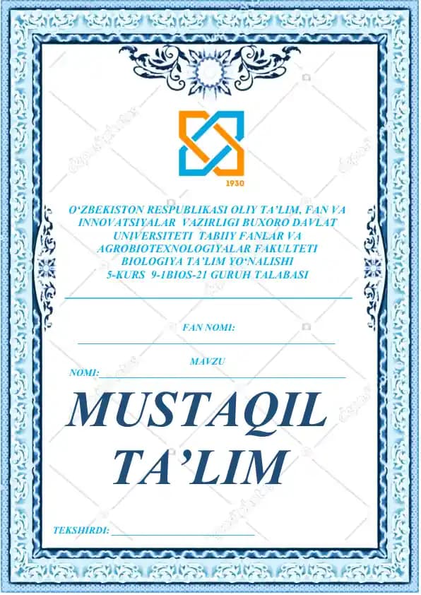 Mustaqil ish yuzi 2025