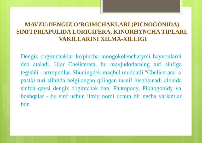 DENGIZ O’RGIMCHAKLARI PICNOGONIDA