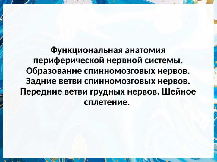 Функциональная анатомия периферической нервной системы.