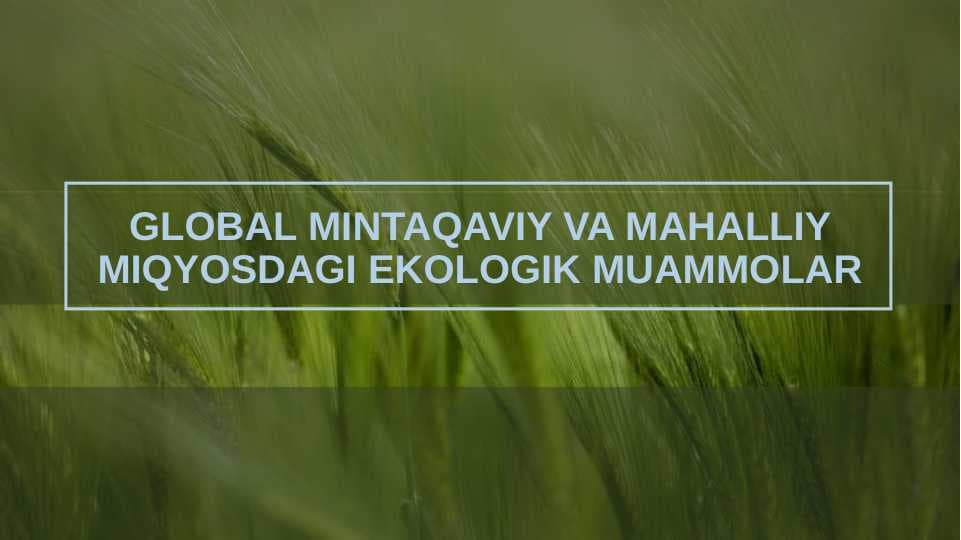 Global mintaqaviy va mahaliy  miqyosidagi ekologik muomalar