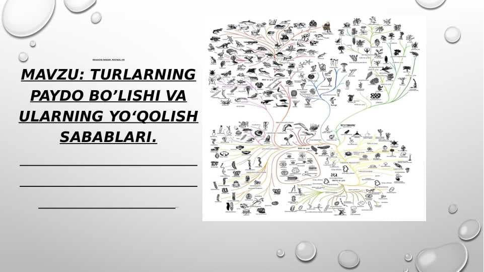 Turlarning paydo bo'lishi va ularning yo'qolish sabablarit