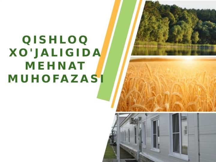 QISHLOQ XO'JALIGIDA MEHNAT MUHOFAZASI