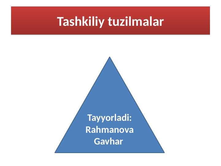 Tashkiliy tuzilmalar