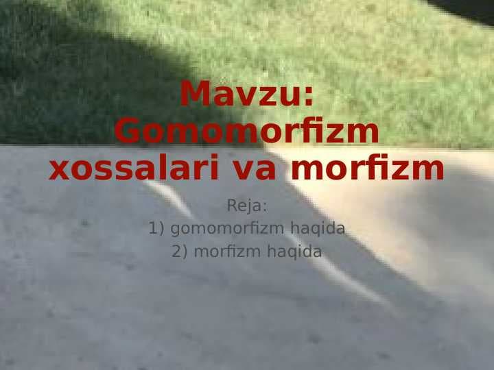 Gomomorfizm xossalari va morfizm