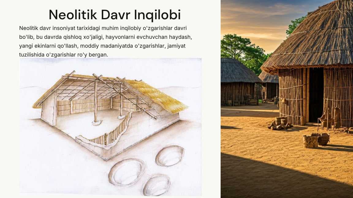 Neolitik-Davr-Inqilobi