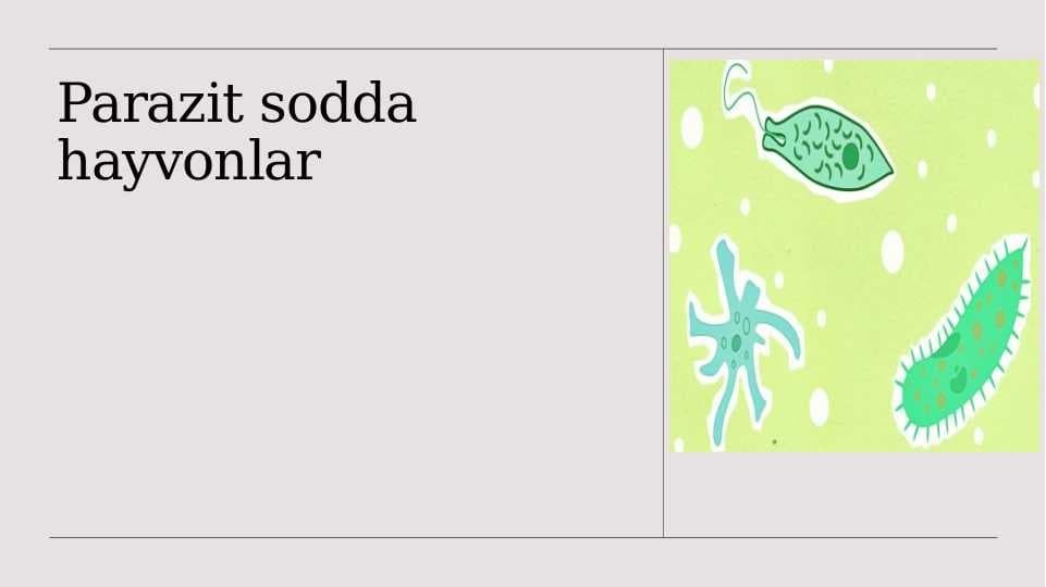 Parazit sodda hayvonlar
