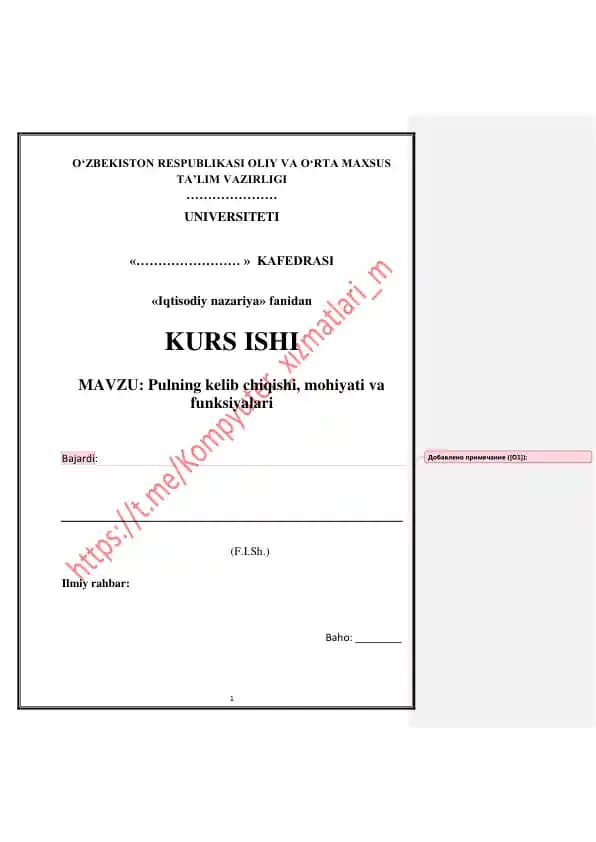 Pulning kelib chiqishi, mohiyati va funksiyalari