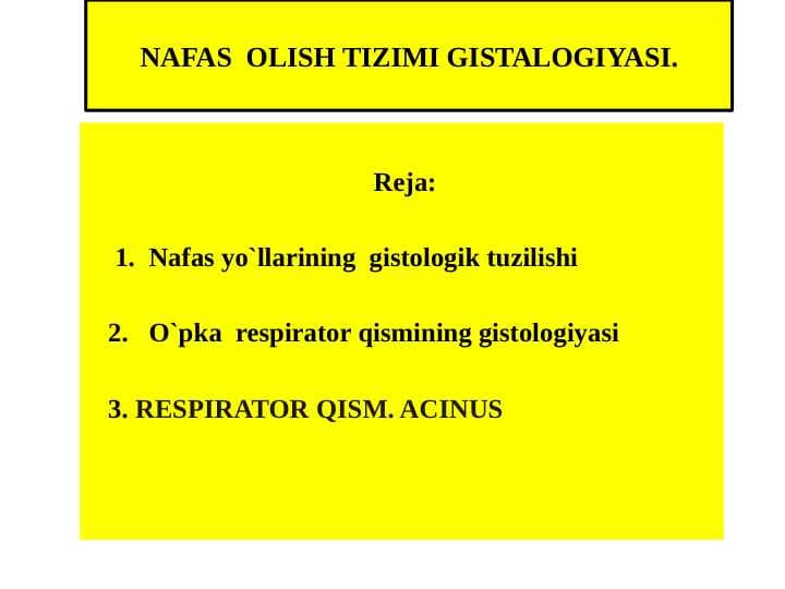 NAFAS  OLISH TIZIMI GISTALOGIYASI