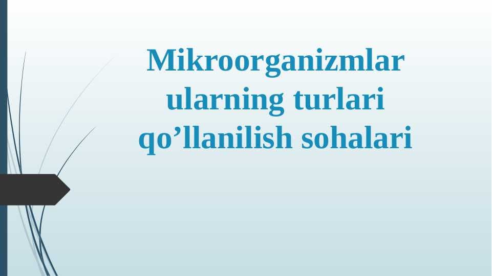 Mikroorganizmlar ularning turlari qoʼllanilish sohalari