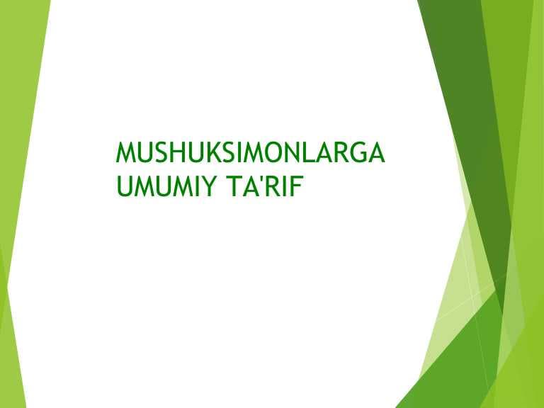 Mushuksimonlar oilasi,  ularga umumiy ta'rif