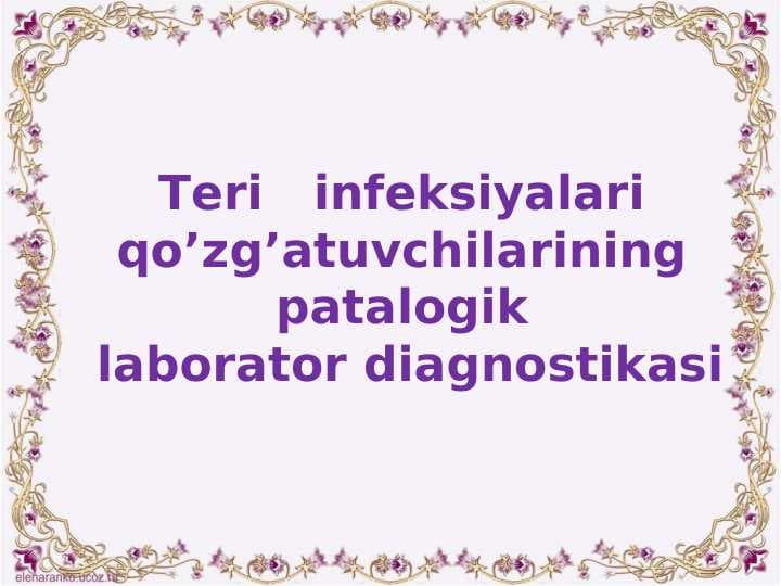 Teri infeksiyalari