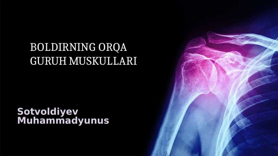 BOLDIRNING ORQA GURUH MUSKULLARI