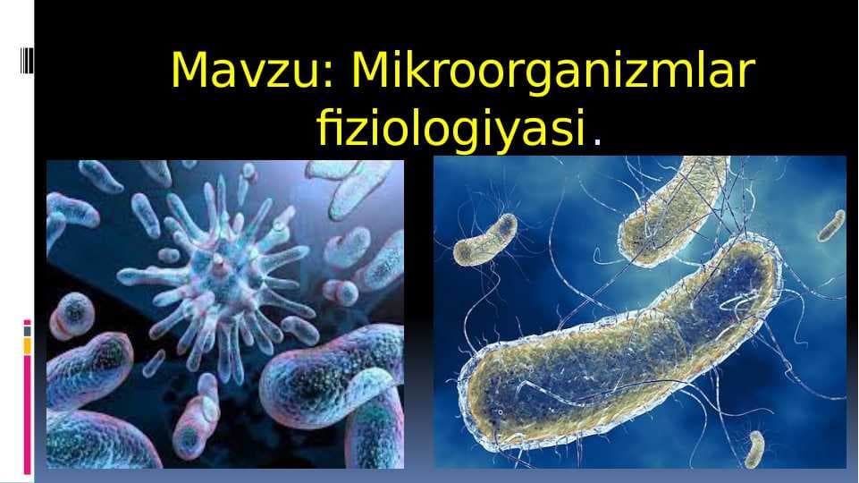 Mikroorganizmlar fiziologiyasi