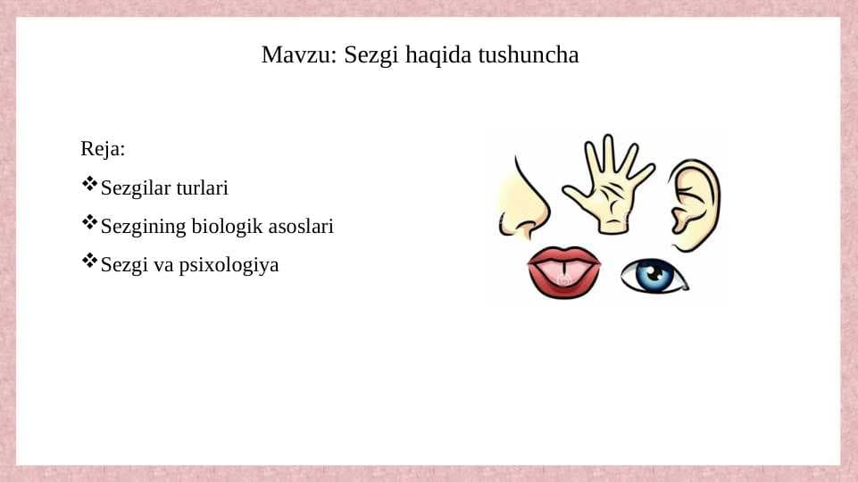 Sezgi haqida tushuncha